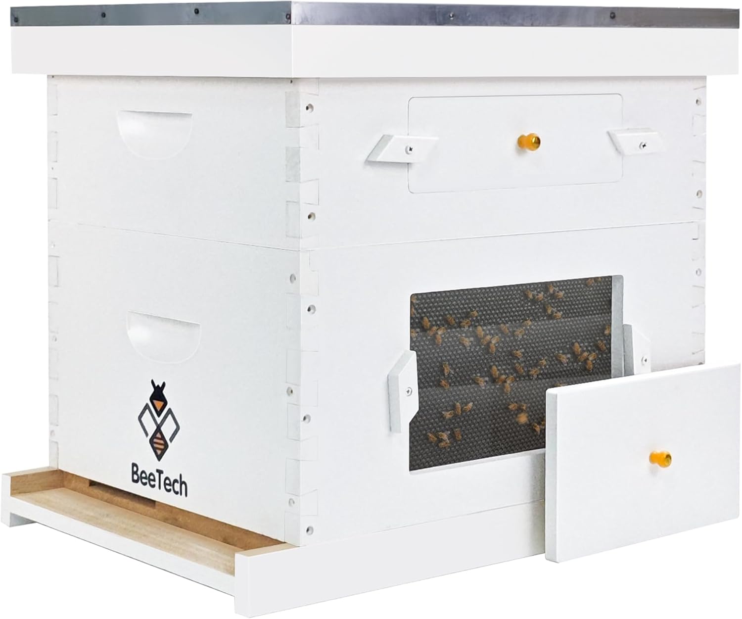 Newest Windows 8 Frame Bee Hive Kit Hand Painted Includes Unassembled Beehive Box with Beehive Frames and Foundations (1 Deep & 1 Medium)