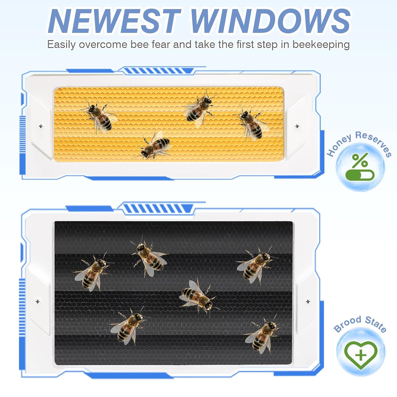 Newest Windows 8 Frame Bee Hive Kit Hand Painted Includes Unassembled Beehive Box with Beehive Frames and Foundations (2 Deep & 2 Medium)