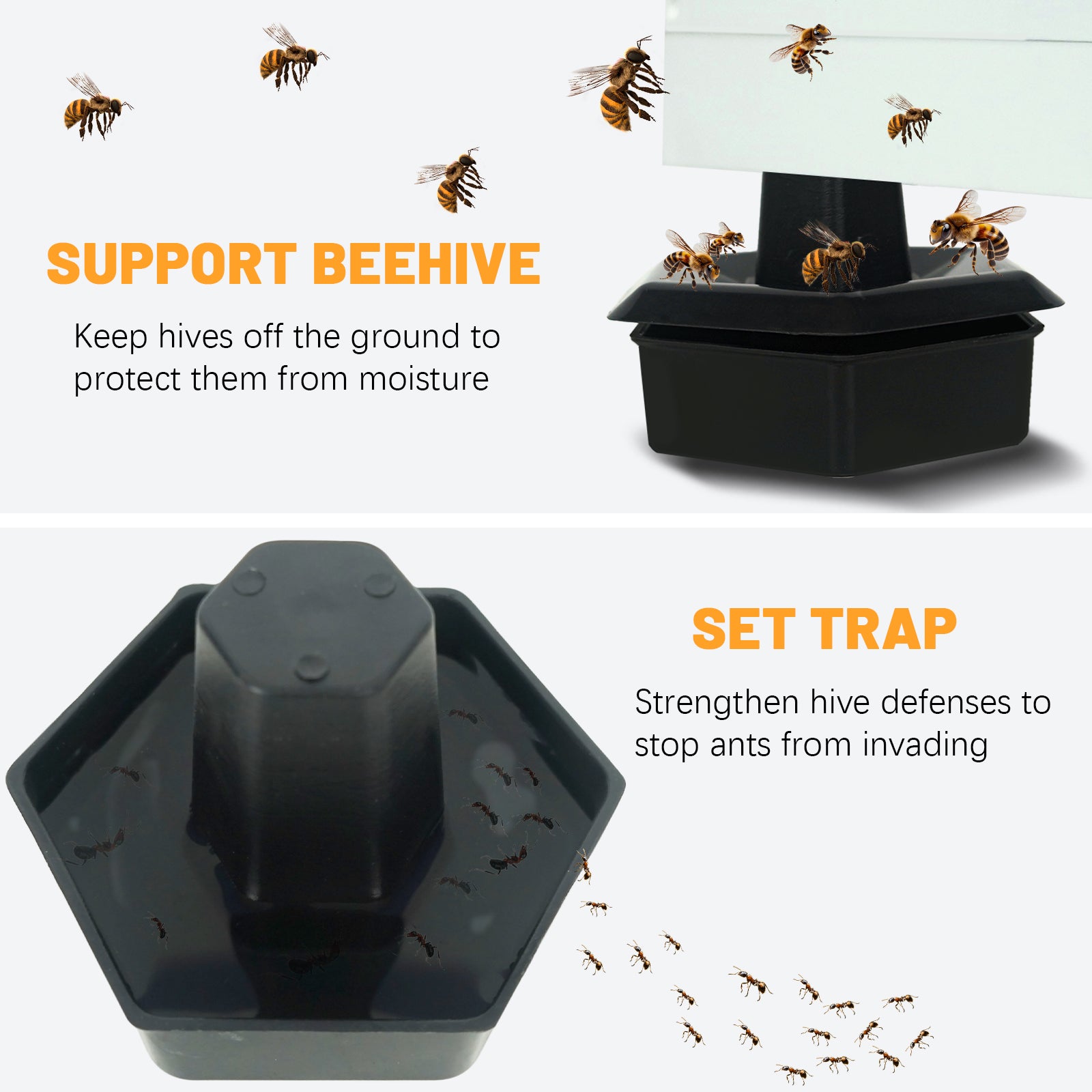 BeeTech 10 Frame Langstroth Bee Hive Hand Painted Includes Beehive Frames and Beeswax Coated Foundations (1 Deep Box & 1 Medium Box)