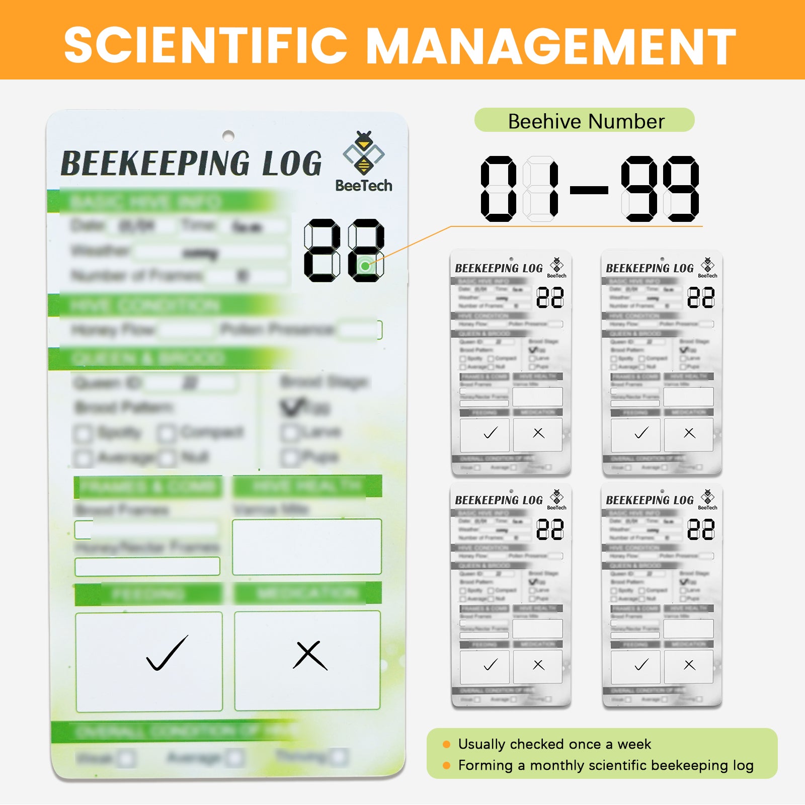 BeeTech 10 Frame Langstroth Bee Hive Hand Painted Includes Beehive Frames and Beeswax Coated Foundations (1 Deep Box & 1 Medium Box)
