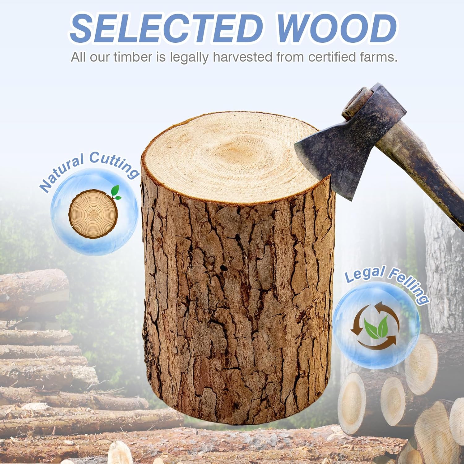 Newest Windows 10 Frame Beehive Hand Painted Includes Unassembled Bee Hive Box with Beehive Frames and Foundations (2 Deep & 2 Medium)