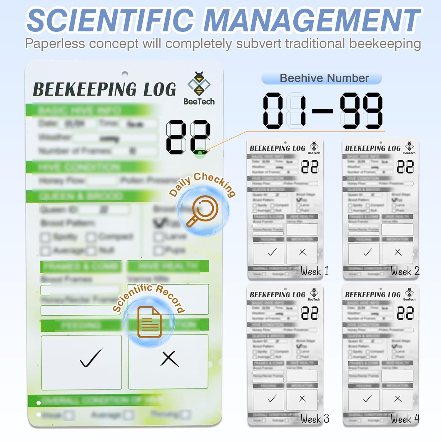 Newest Windows 8 Frame Bee Hive Kit Hand Painted Includes Unassembled Beehive Box with Beehive Frames and Foundations (2 Deep & 2 Medium)