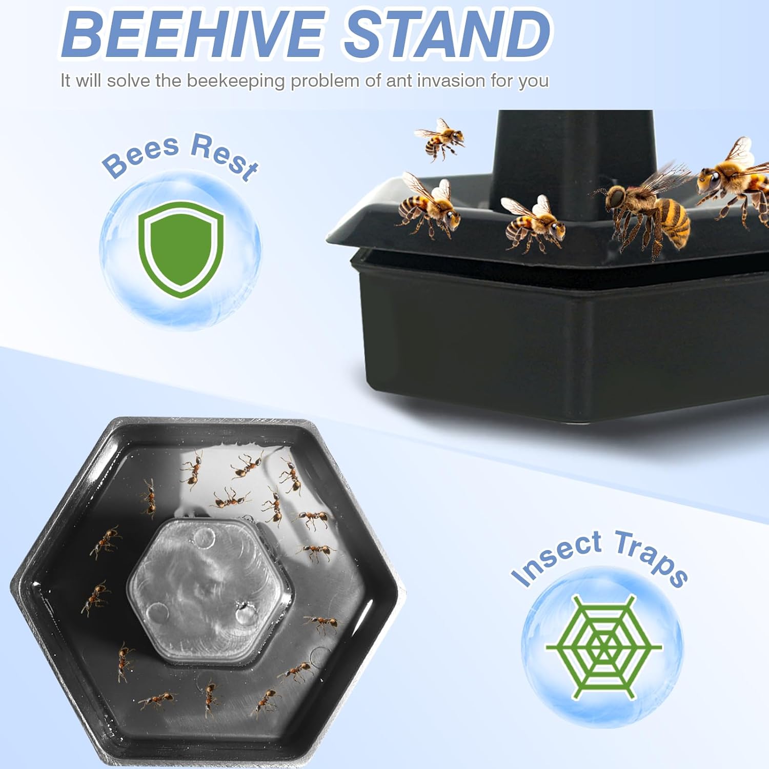 Newest Windows 8 Frame Bee Hive Kit Hand Painted Includes Unassembled Beehive Box with Beehive Frames and Foundations (1 Deep & 1 Medium)