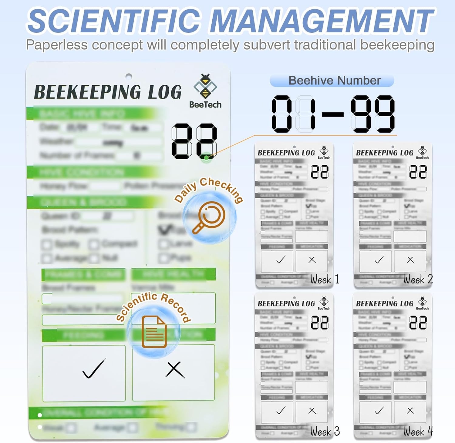 Newest Windows 8 Frame Bee Hive Kit Hand Painted Includes Unassembled Beehive Box with Beehive Frames and Foundations (1 Deep & 1 Medium)