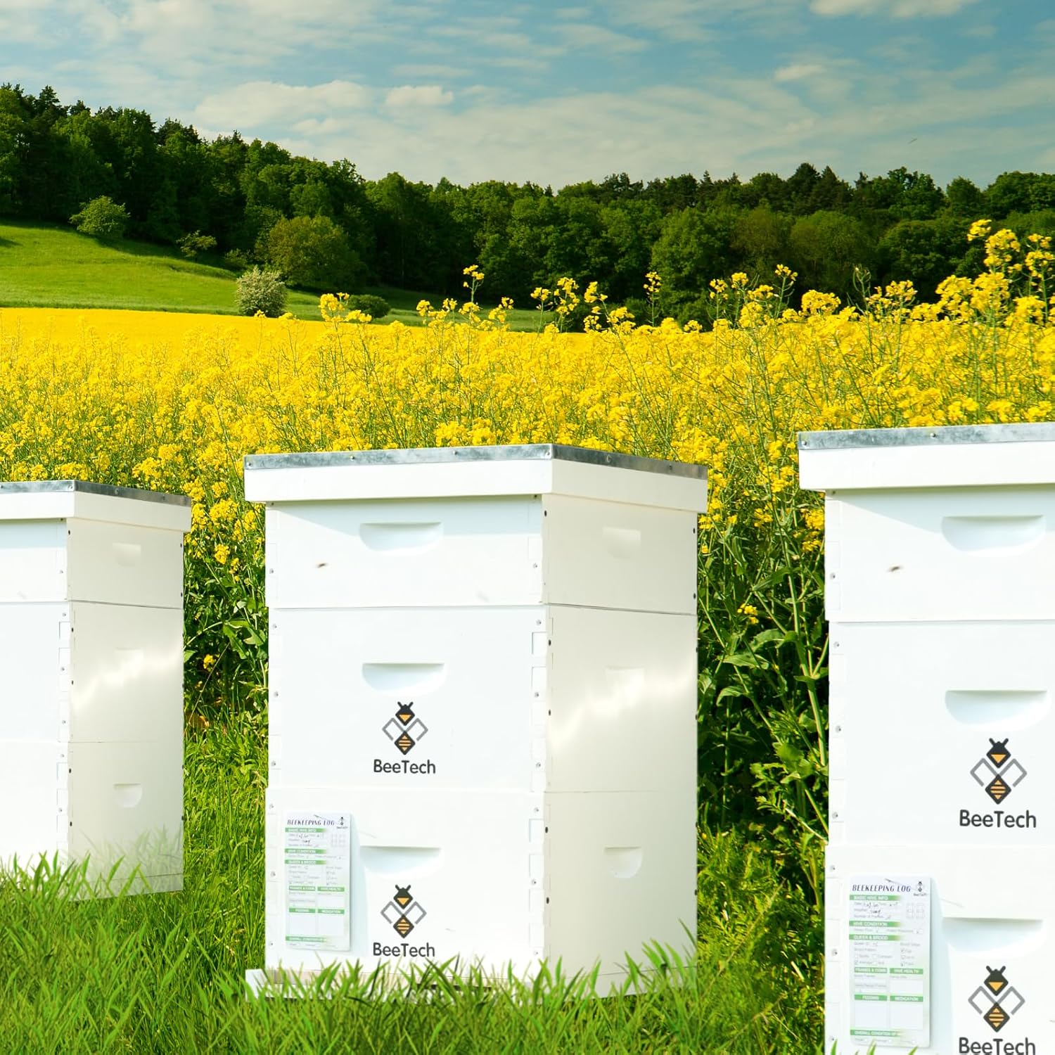 Newest Windows 8 Frame Bee Hive Kit Hand Painted Includes Unassembled Beehive Box with Beehive Frames and Foundations (2 Deep & 2 Medium)