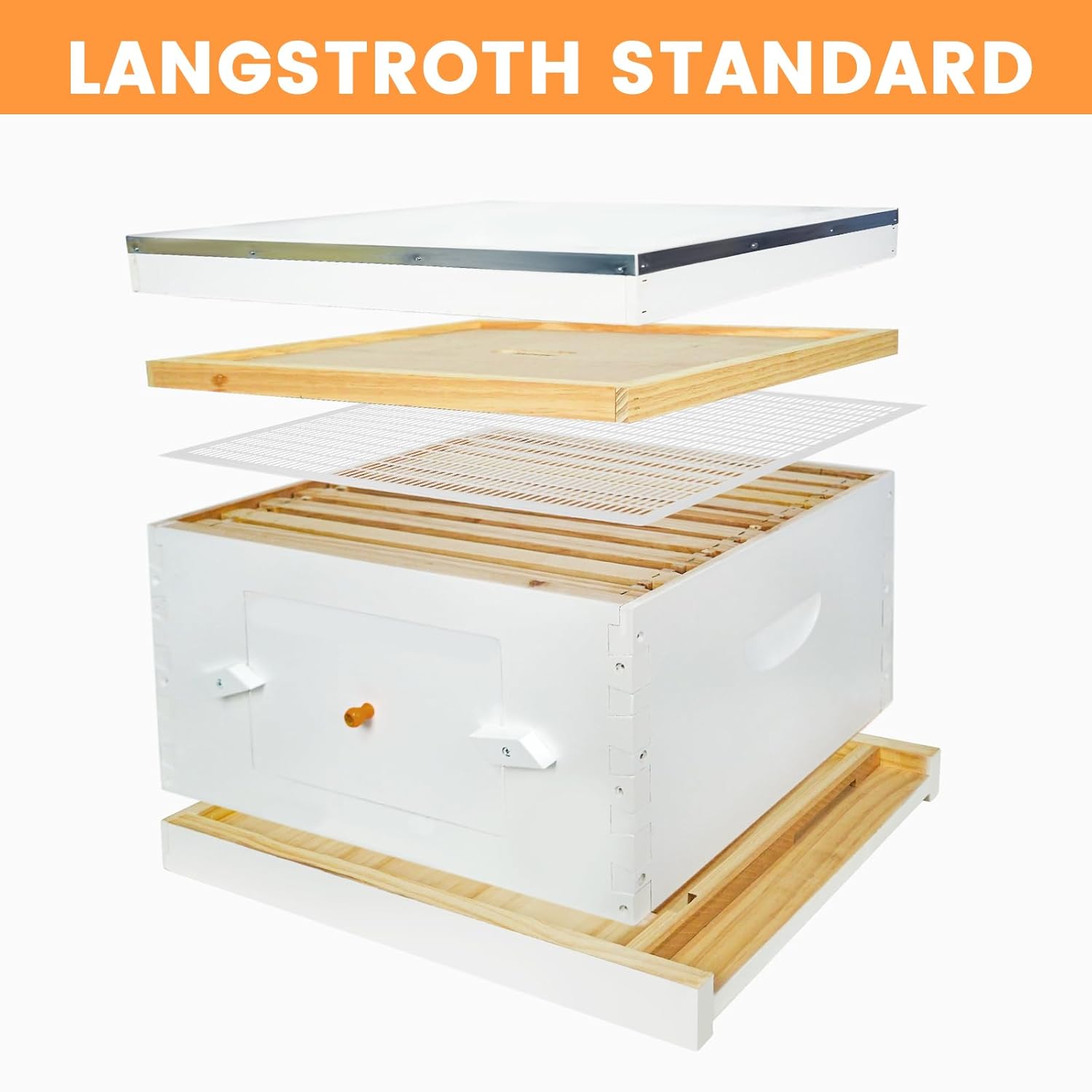 Newest 10 Frame Beehive Starter Kit Hand Painted Includes Beekeeping Supplies Tools and Sting Proof Bee Suit