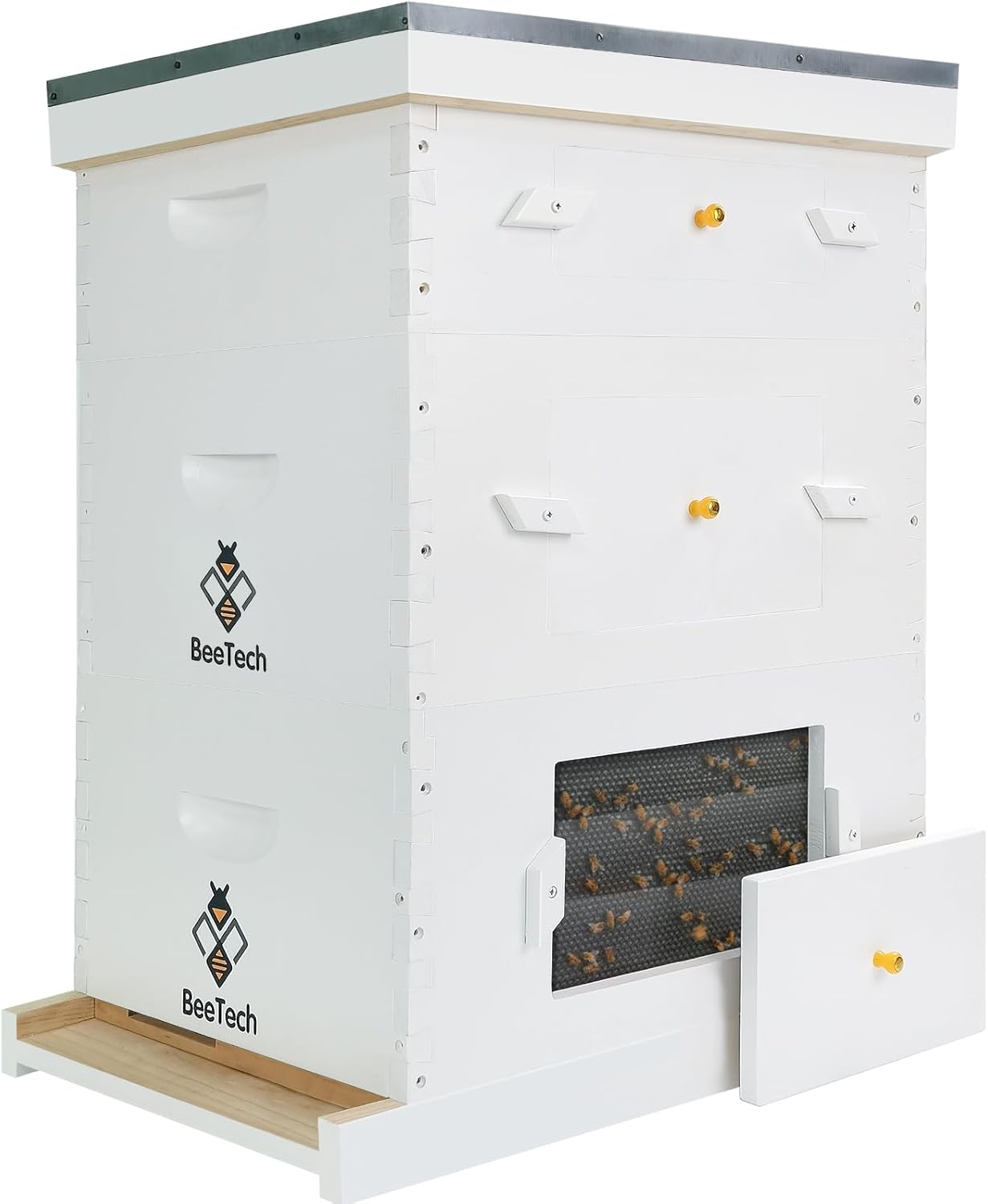 Newest Windows 8 Frame Bee Hive Kit Hand Painted Includes Unassembled Beehive Box with Beehive Frames and Foundations (1 Deep & 1 Medium)