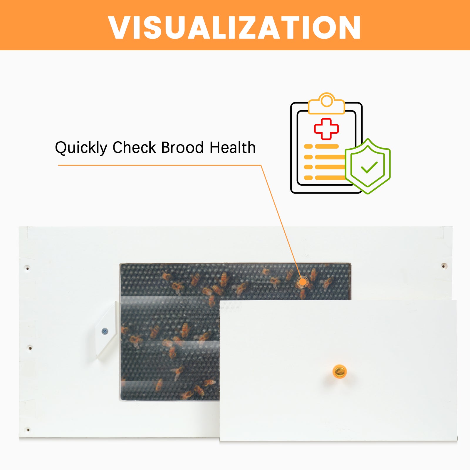 Newest 10 Frame Beehive Starter Kit Hand Painted Includes Beekeeping Supplies Tools and Sting Proof Bee Suit
