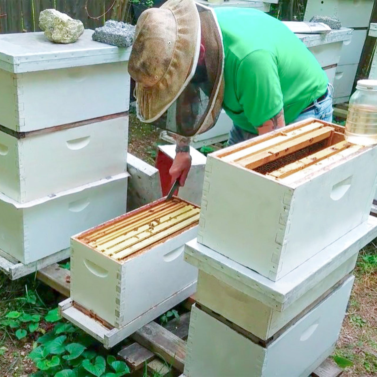 BeeTech 5 Frame Langstroth Nuc Beehive Kit with Mesh Transport Bag, Hand Painted Bee Hive Nuc Box Includes Beehive Frames and Beewax Foundations