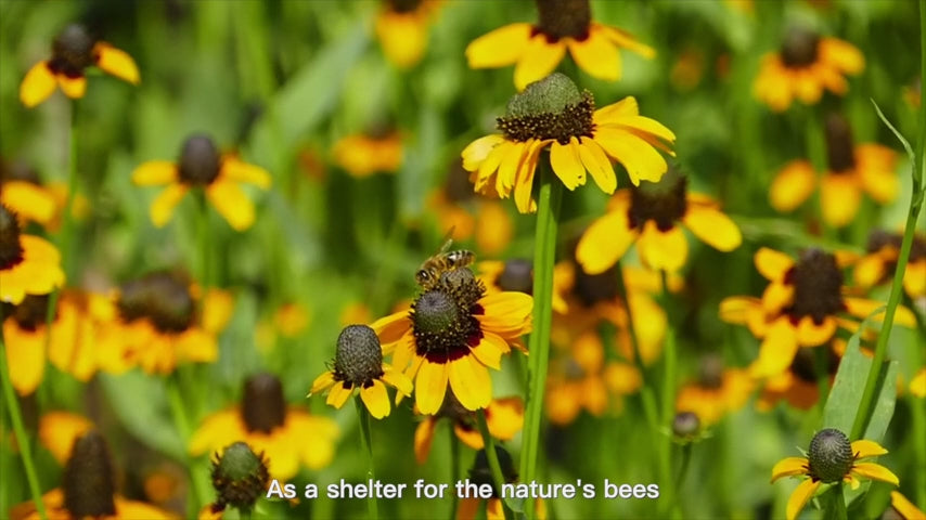 8 Frame Bee Hives Boxes Starter Kit Hand Painted Beehive Starter Kit Includes Beekeeping Supplies Tools and Cowboy Bee Hat