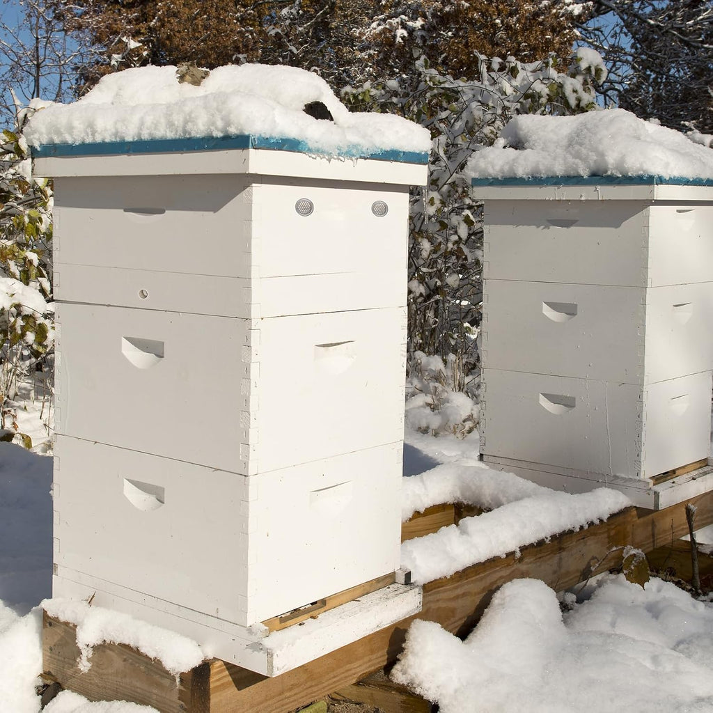 BeeTech 10 Frame Langstroth Bee Hive Quilt Box, Hand-Painted Assembled Winter Hive Box for Bee Heat Preservation & Cold Protection