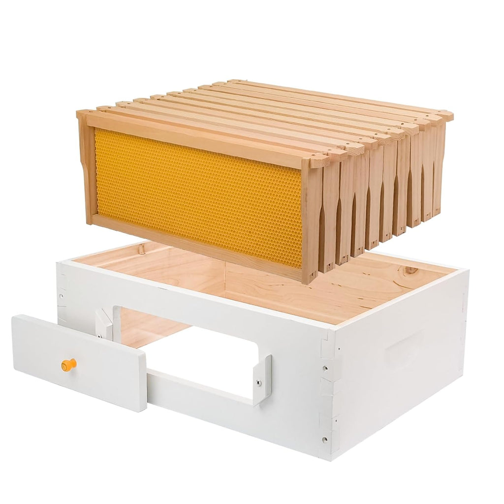 Super Frame Bee 10 Frame Langstroth Medium Super Bee Box Include Frames and Foundations ...