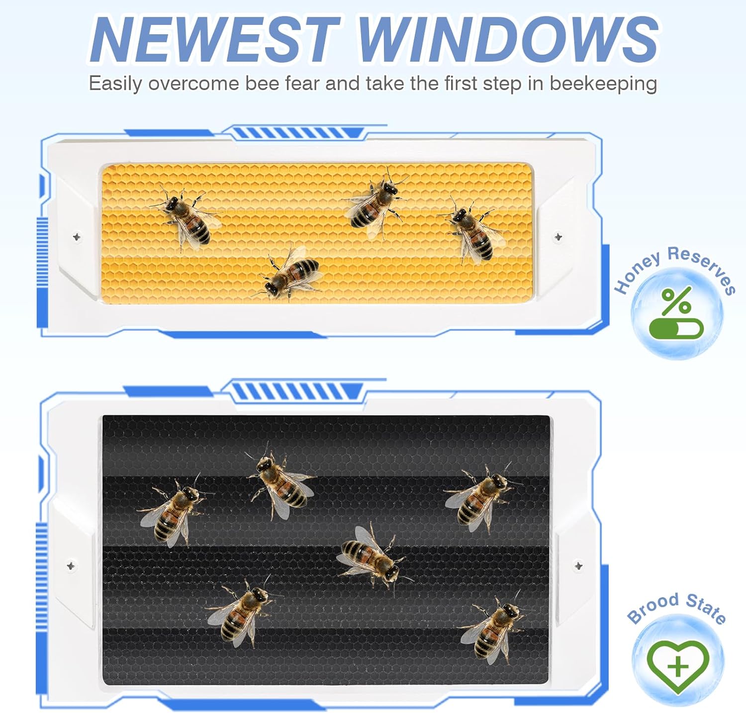 Newest Windows 8 Frame Bee Hive Kit Hand Painted Includes