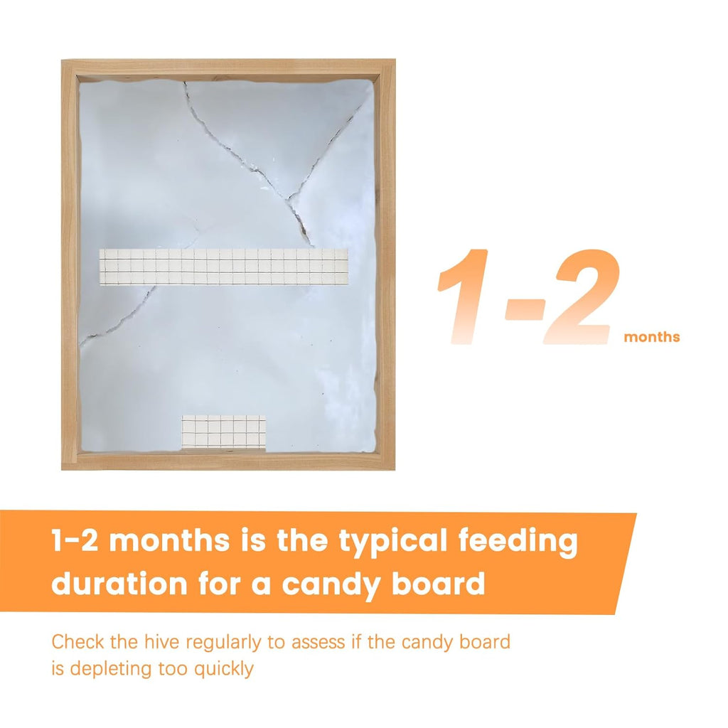 BeeTech 10 Frame Langstroth Candy Board, Hand-Painted Fully Assembled Bee Feeder, Winter Food Supply Accessory for Backyard Beekeepers