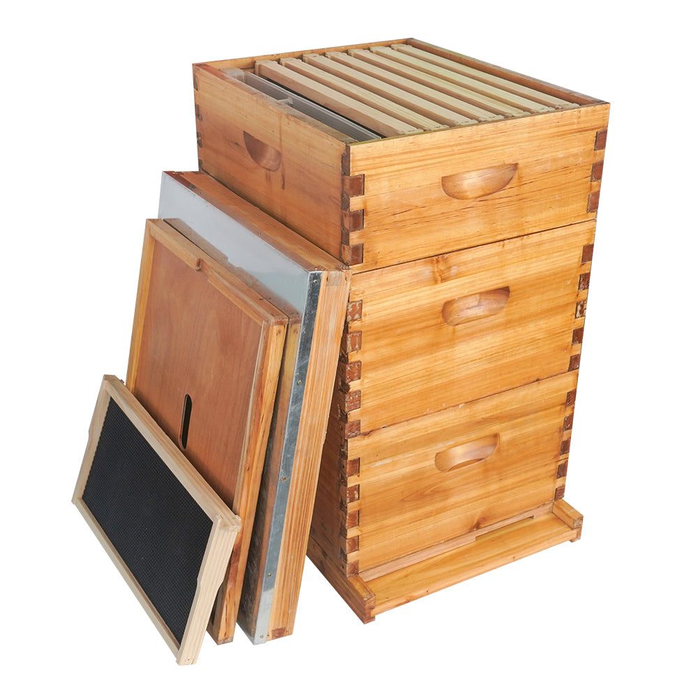 Wax coated 10 frames Langstroth hive
