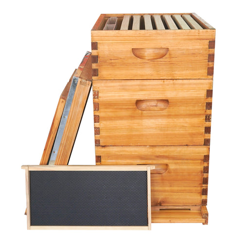 10 Frame Langstroth Hive Beeswax Coated Complete Beehive Kit | With Frames & Foundations
