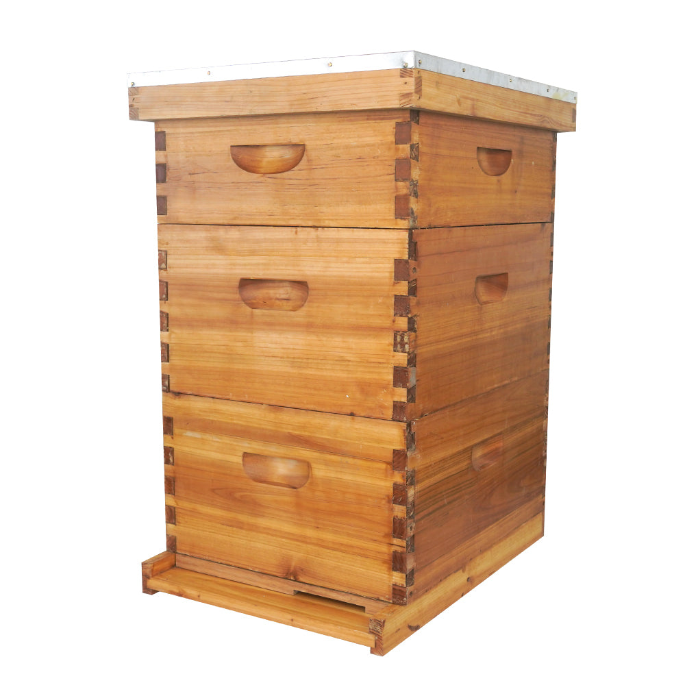 Wax coated 10 frames Langstroth hive
